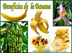 Banana LPCdD